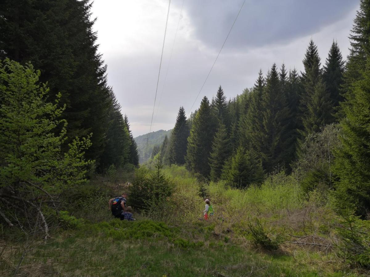 Sky Cabin Apartments Kopaonik Eksteriør billede